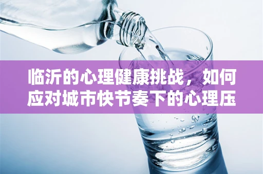 临沂的心理健康挑战，如何应对城市快节奏下的心理压力？