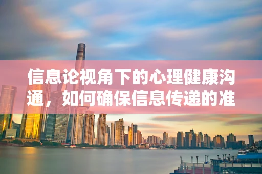 信息论视角下的心理健康沟通，如何确保信息传递的准确与高效？