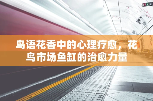 鸟语花香中的心理疗愈，花鸟市场鱼缸的治愈力量