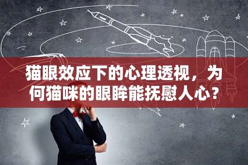 猫眼效应下的心理透视，为何猫咪的眼眸能抚慰人心？