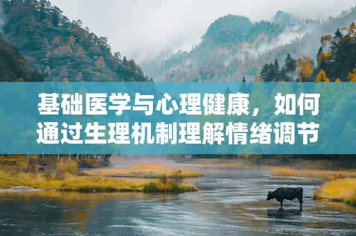 基础医学与心理健康，如何通过生理机制理解情绪调节？