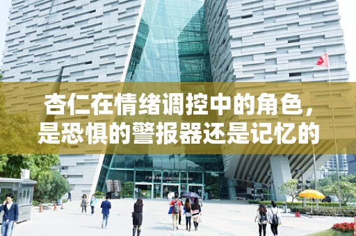 杏仁在情绪调控中的角色，是恐惧的警报器还是记忆的宝库？