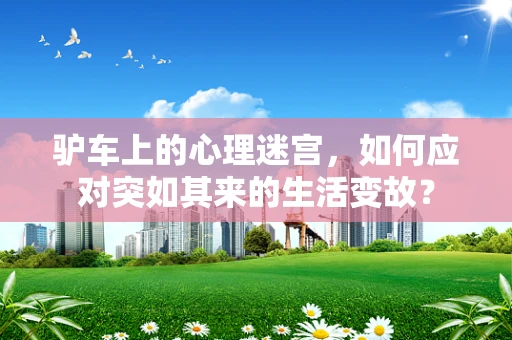 驴车上的心理迷宫，如何应对突如其来的生活变故？