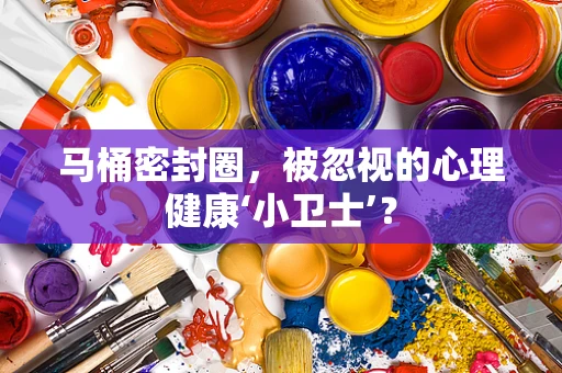 马桶密封圈，被忽视的心理健康‘小卫士’？
