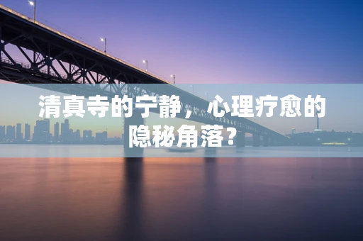 清真寺的宁静，心理疗愈的隐秘角落？
