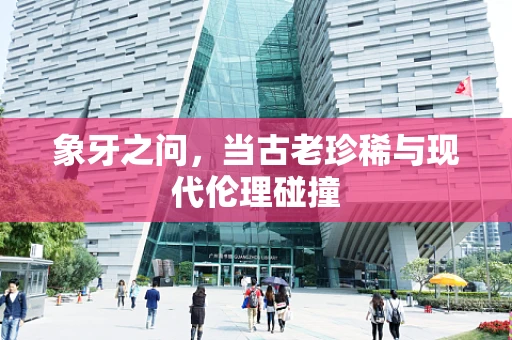象牙之问，当古老珍稀与现代伦理碰撞