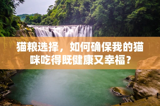 猫粮选择，如何确保我的猫咪吃得既健康又幸福？