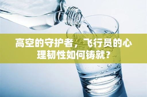 高空的守护者，飞行员的心理韧性如何铸就？