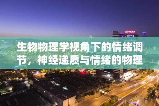 生物物理学视角下的情绪调节，神经递质与情绪的物理对话