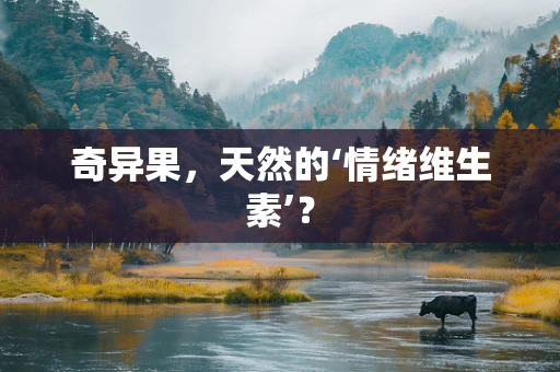 奇异果，天然的‘情绪维生素’？