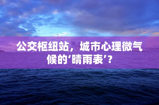 公交枢纽站，城市心理微气候的‘晴雨表’？