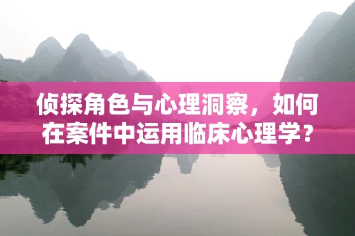 侦探角色与心理洞察，如何在案件中运用临床心理学？