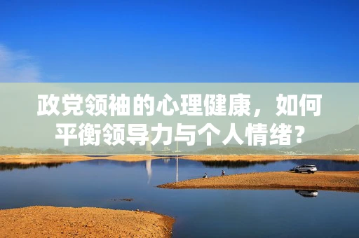 政党领袖的心理健康，如何平衡领导力与个人情绪？
