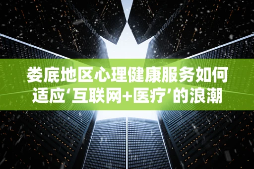 娄底地区心理健康服务如何适应‘互联网+医疗’的浪潮？