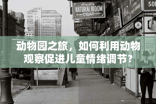 动物园之旅，如何利用动物观察促进儿童情绪调节？
