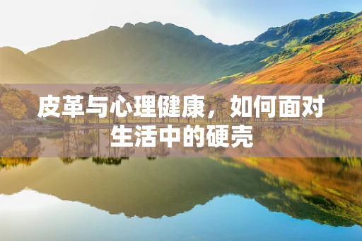 皮革与心理健康，如何面对生活中的硬壳