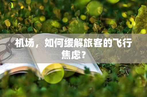 机场，如何缓解旅客的飞行焦虑？