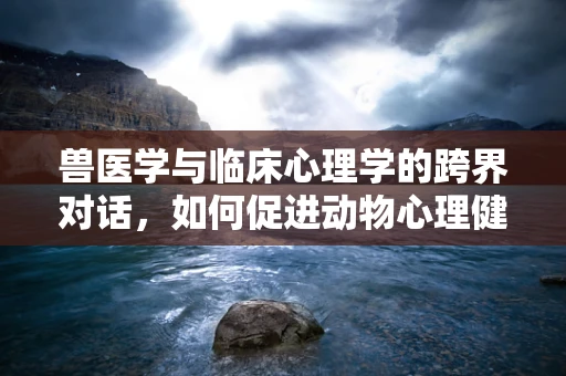 兽医学与临床心理学的跨界对话，如何促进动物心理健康？