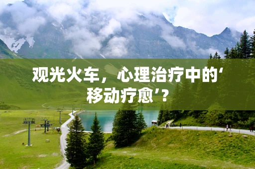 观光火车，心理治疗中的‘移动疗愈’？