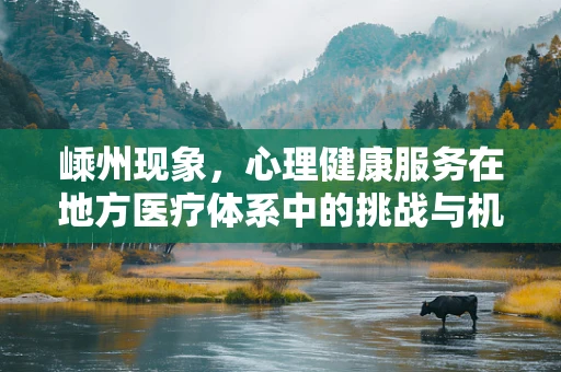 嵊州现象，心理健康服务在地方医疗体系中的挑战与机遇