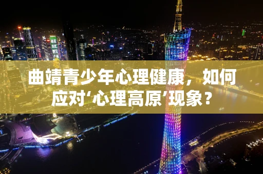 曲靖青少年心理健康，如何应对‘心理高原’现象？