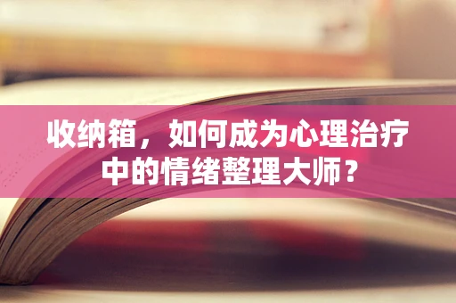 收纳箱，如何成为心理治疗中的情绪整理大师？