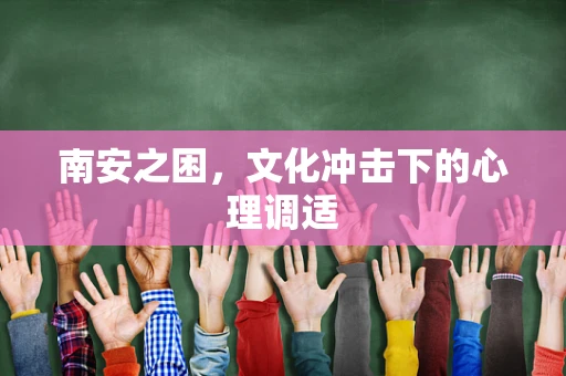 南安之困，文化冲击下的心理调适