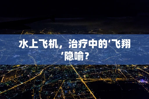 水上飞机，治疗中的‘飞翔’隐喻？
