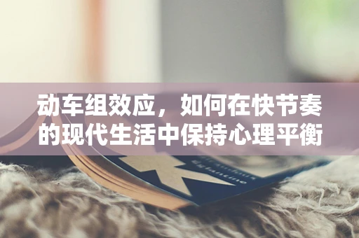 动车组效应，如何在快节奏的现代生活中保持心理平衡？