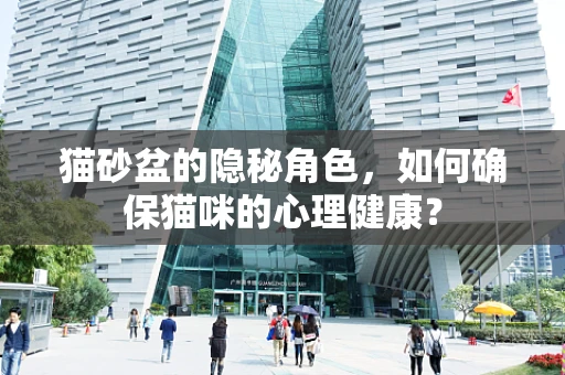猫砂盆的隐秘角色，如何确保猫咪的心理健康？