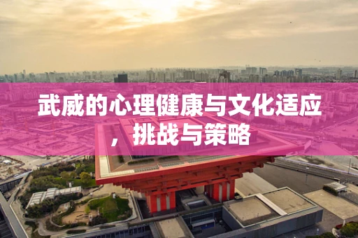 武威的心理健康与文化适应，挑战与策略