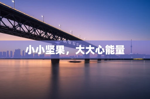 小小坚果，大大心能量