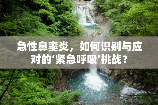 急性鼻窦炎，如何识别与应对的‘紧急呼吸’挑战？