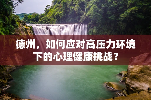 德州，如何应对高压力环境下的心理健康挑战？