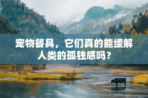 宠物餐具，它们真的能缓解人类的孤独感吗？