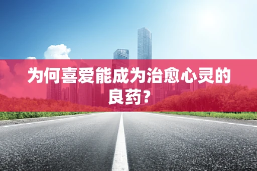 为何喜爱能成为治愈心灵的良药？