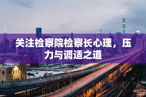 关注检察院检察长心理，压力与调适之道