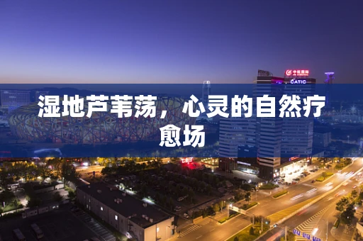 湿地芦苇荡，心灵的自然疗愈场