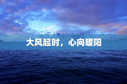 大风起时，心向暖阳