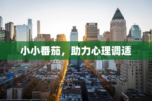 小小番茄，助力心理调适