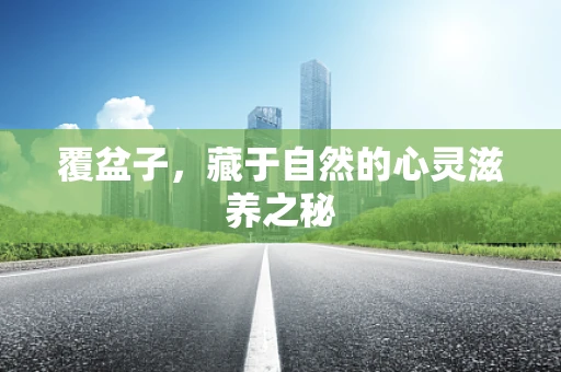 覆盆子，藏于自然的心灵滋养之秘