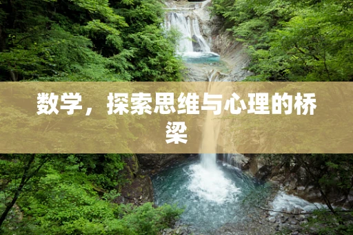数学，探索思维与心理的桥梁