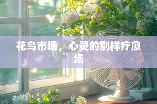 花鸟市场，心灵的别样疗愈场