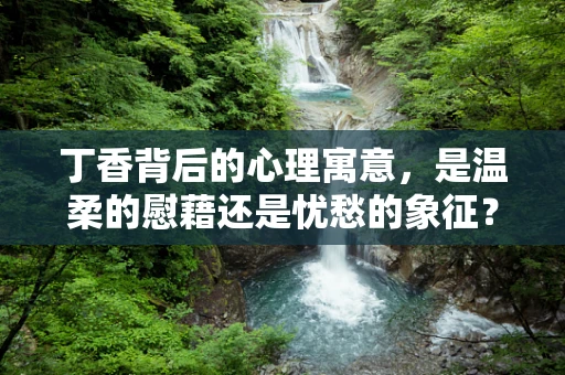 丁香背后的心理寓意，是温柔的慰藉还是忧愁的象征？