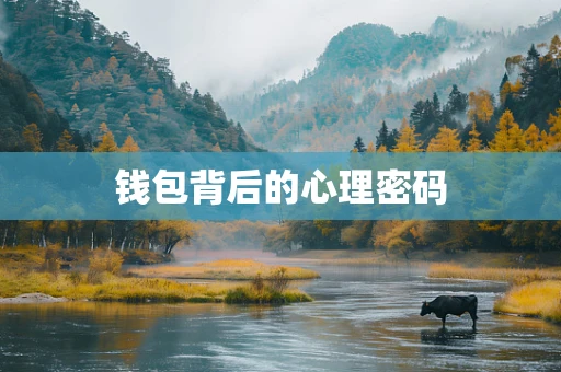 钱包背后的心理密码