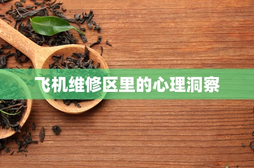 飞机维修区里的心理洞察