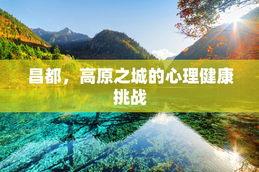 昌都，高原之城的心理健康挑战