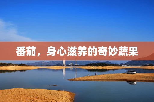 番茄，身心滋养的奇妙蔬果