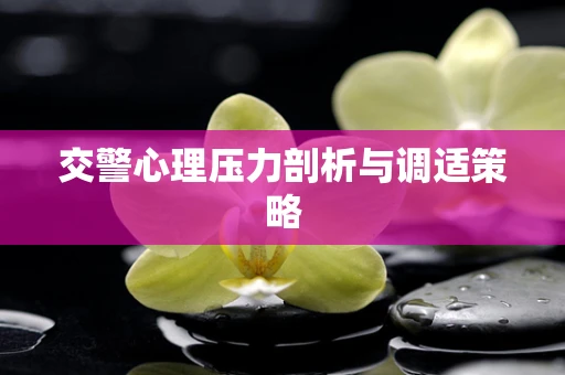 交警心理压力剖析与调适策略