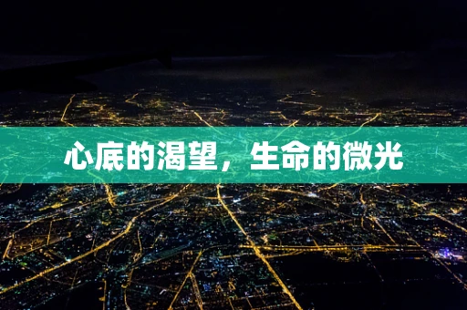 心底的渴望，生命的微光